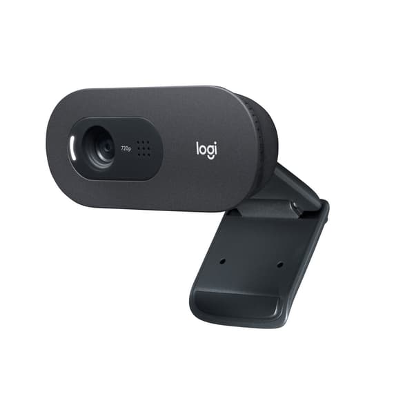 Logitech C505 HD webbkamera 1280 x 720 pixlar USB Svart