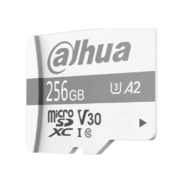 Kovalevy DAHUA TECHNOLOGY P100 256 GB SSD