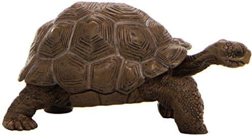 Galapagos Zolina