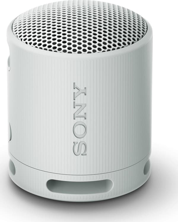 Sony SRS-XB100 Grå