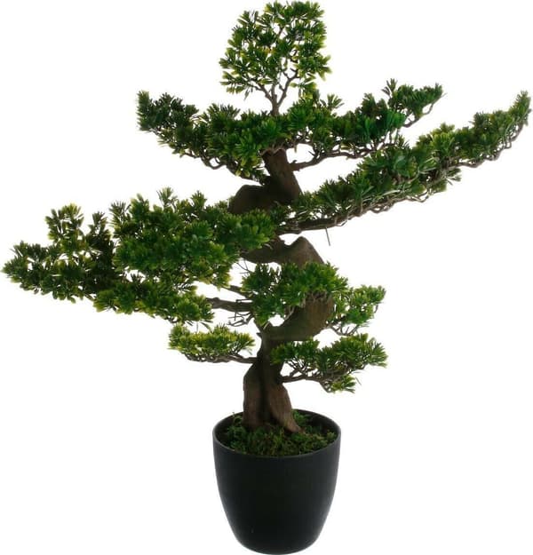 Atmosphera Tekobonsai 80cm