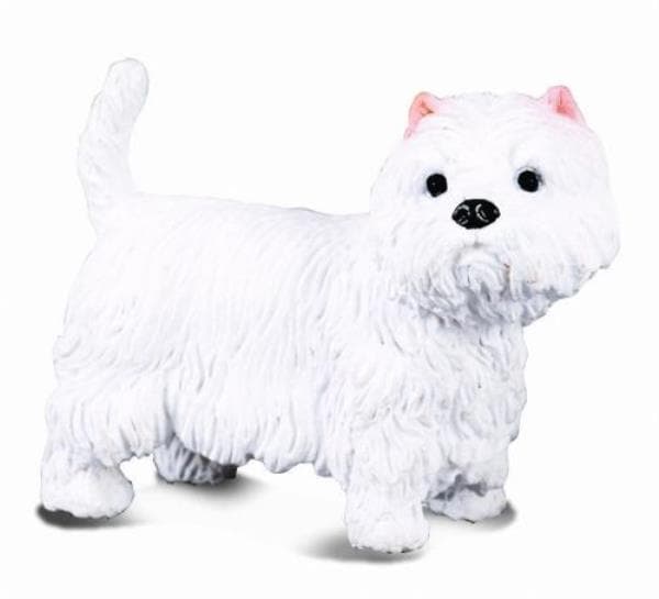 West highland terrier hund