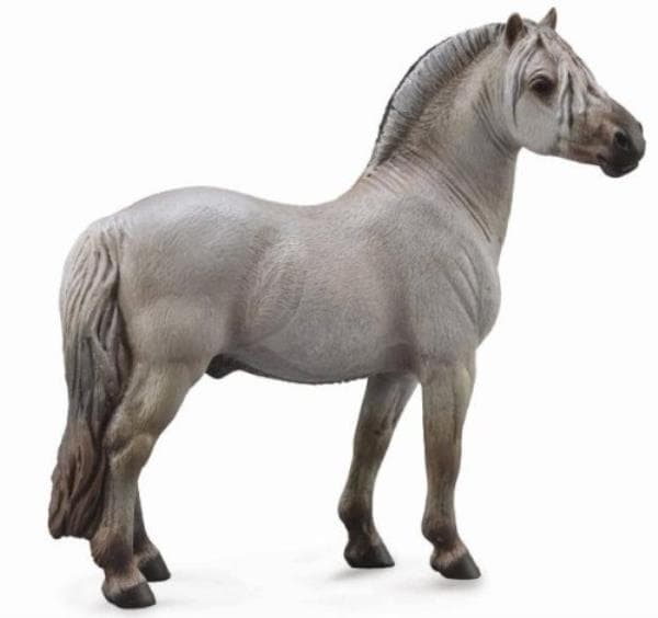 Con Fjord Stallion Grey