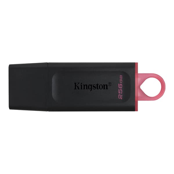 Kingston DataTraveler Exodia - USB-flashdrev - 256 GB
