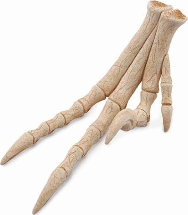 Collecta Figur REPLIKA AV VELOCIRAPTOR CONS - CollectA - 89285
