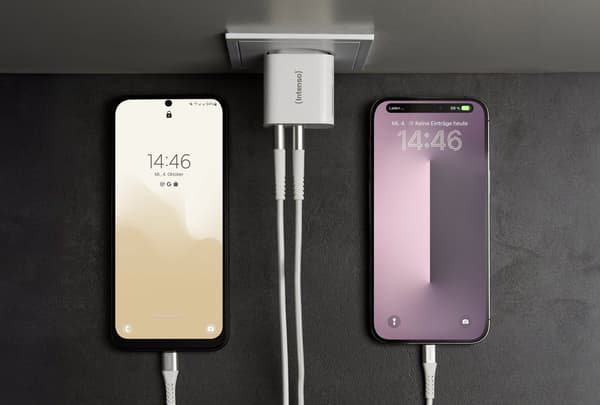 Intenso Strømadapter W24AA 2x USB-A 24W hvid