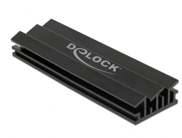Delock kølelegeme til solid state-disk
