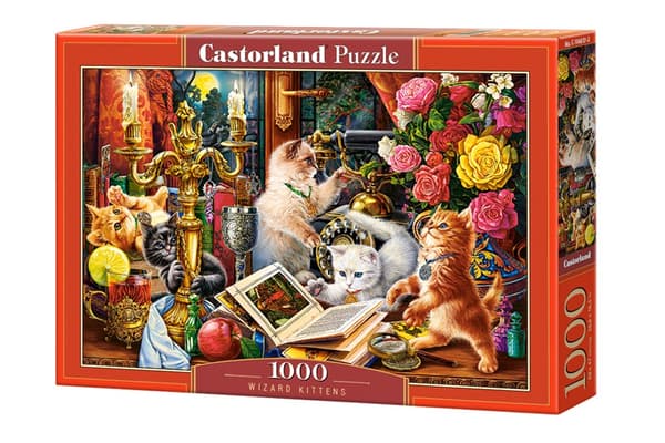 Puslespil 1000 Wizard Kittens CASTOR