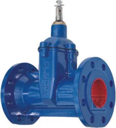 FLANGED WATER GATE F5 DN80 GJS