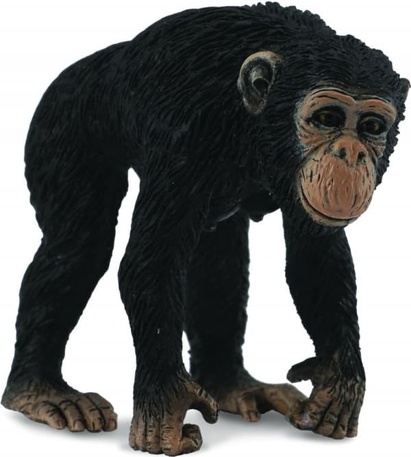 Schimpans hona 88493 COLLECTA