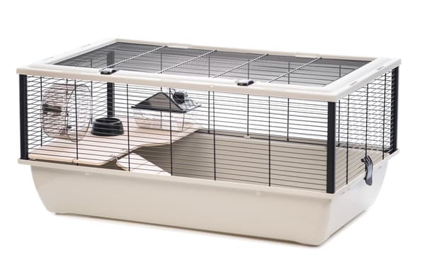 INTER-ZOO Bob + trä beige 780x480x360