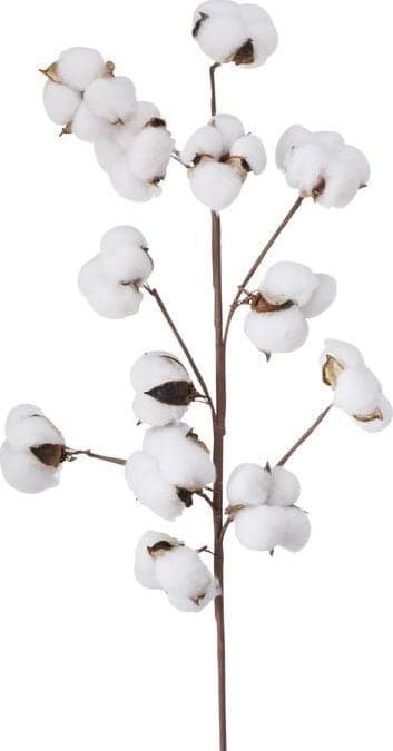 Boltze Tekopuuvillan oksa, 68 cm
