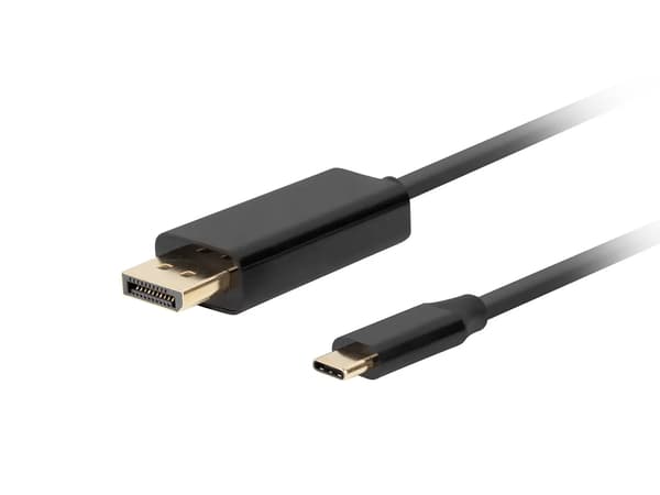 USB C til DisplayPort-adapter Lanberg CA-CMDP-10CU-0005-BK Sort 500 cm
