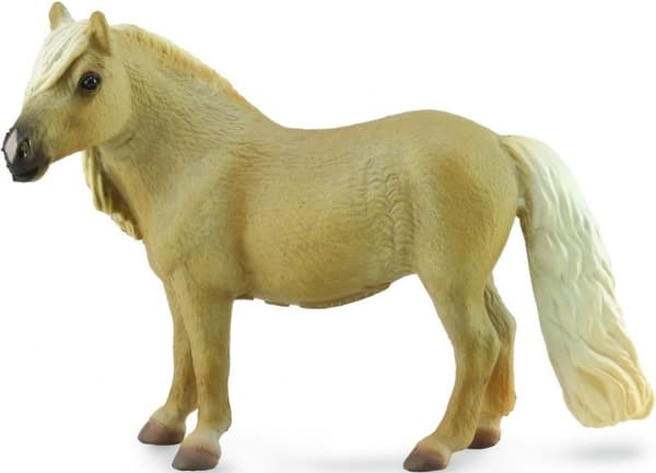 Falabella Sto Palomino