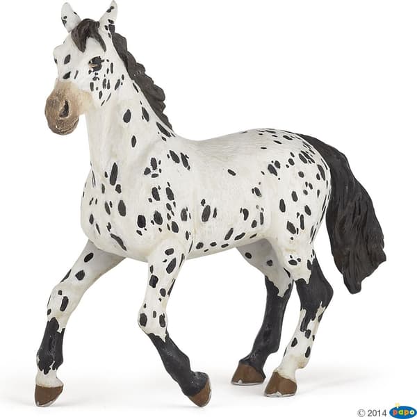 Appaloosa Con