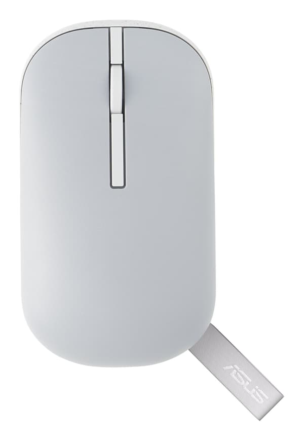 Asus MD100 Grå