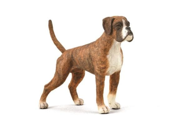 Hund Boxer 88936 COLLECTA