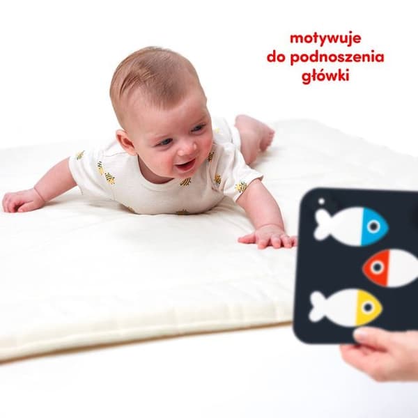 CzzuCu Stora kontrastkort 24 illustrationer ZA4237