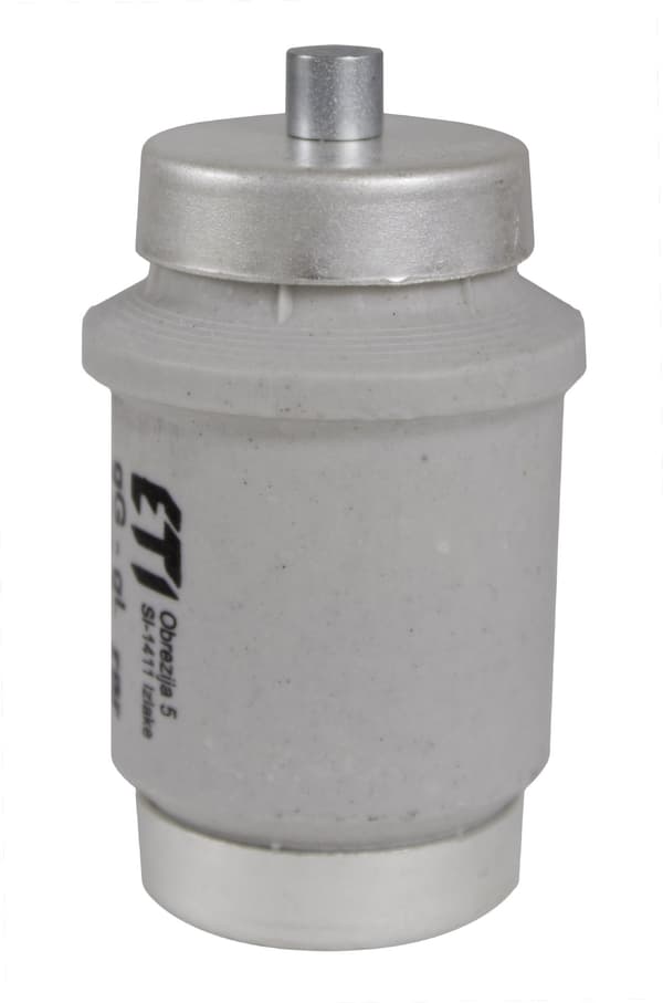 Sikringsindsats 100A DIV gG 500V E40 002314402