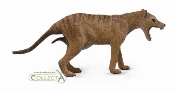 Collecta pungulvfigur - tasmansk, hun (004-88767)