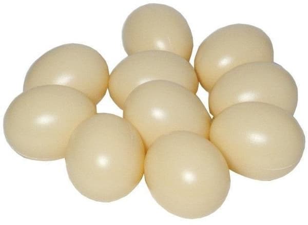 Ägg 10 st