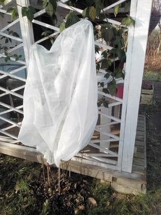 FLO SUOJAKANSI TANGOILLE 1,2 x 1,8m 89750