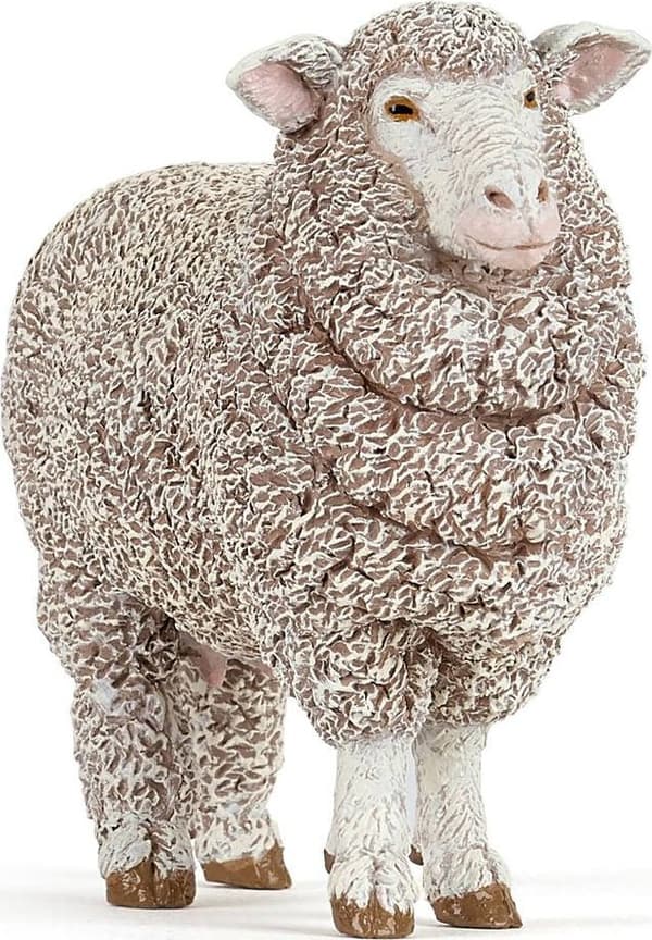 Merinofår