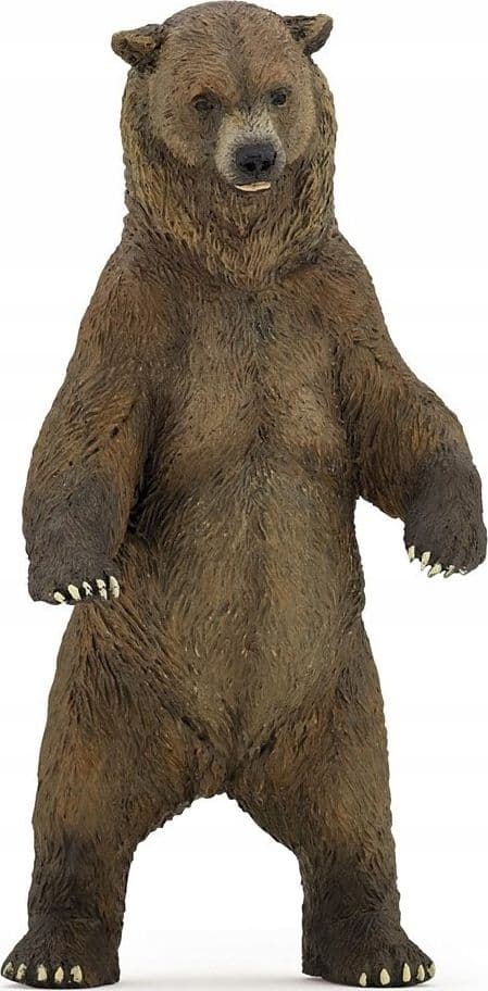 Bear Grizzly
