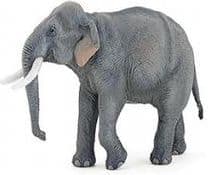 Asiatisk elefant
