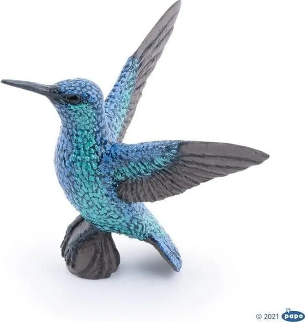 Kolibri