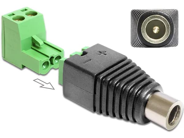 Delock - strømforsyningsadapter - 2 pi