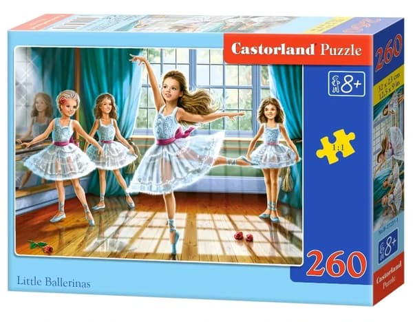 Palapeli 260 Miesbalettitanssijat CASTOR