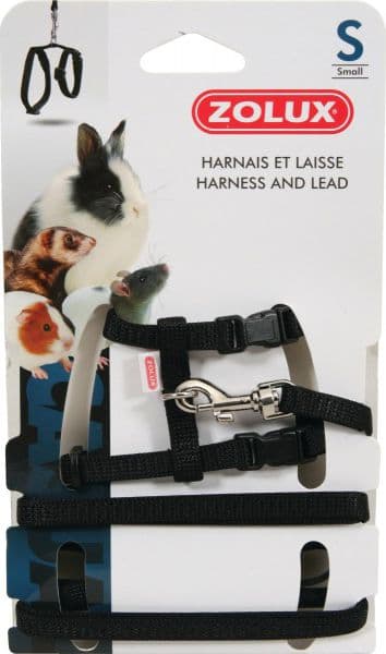 Zolux Rotte Sele og Snor S farve Sort