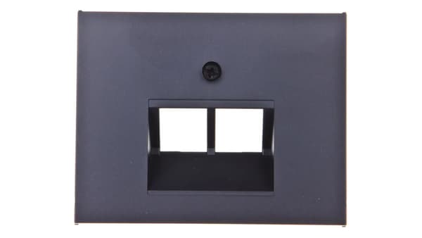 Hager Central element til Berker serie UAE dobbelt tilslutningsstik mat antracit - 14097006