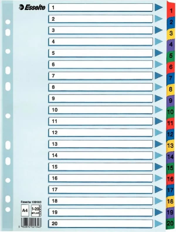 Register Mylar A4 1-20 Multi C