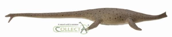 Thalassomedon dinosaurie