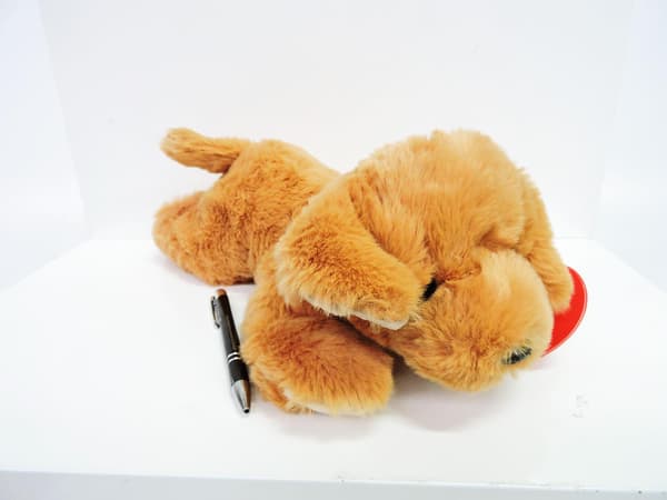 *PLUSH koira labradori, 35 cm