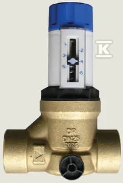 CISN.312 REDUCER DN25 GW.INNER.