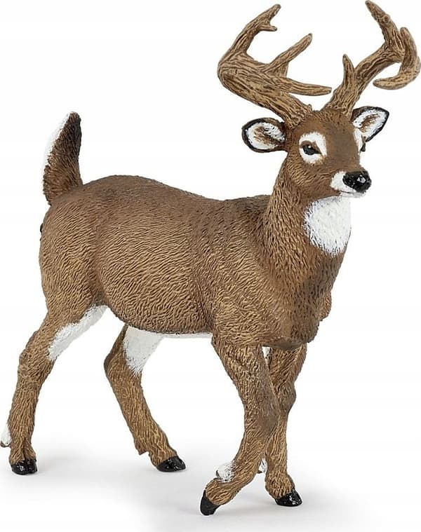 Bialotail mulac