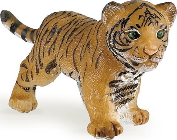 Tiger mlody