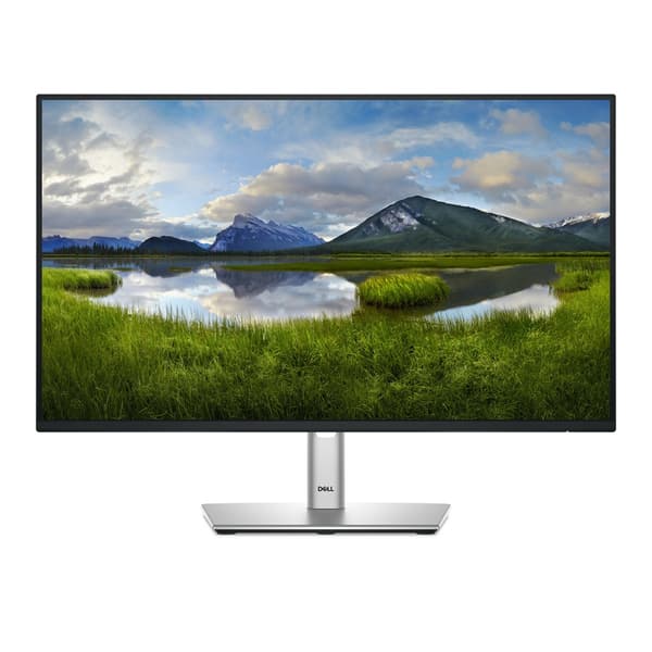 Dell LED-skärm P2425H - 61 cm (24\") - 1920 x 1080 Full HD