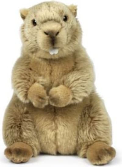 Swistak 23 cm WWF
