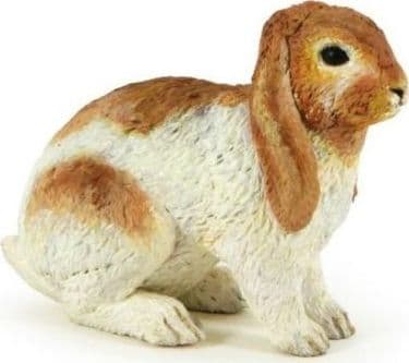 Kanin Holland Lop