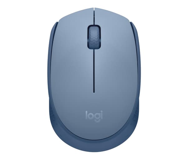Mus Logitech M171
