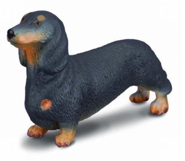Koirarotu mäyräkoira 88185 COLLECTA