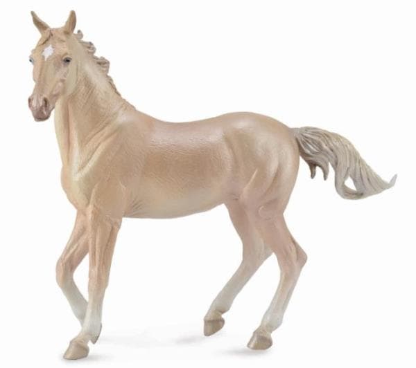 Hingst Akhal-Teke Perlino
