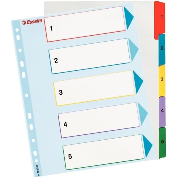 Esselte Ringbindsholdere til A4 Mylar med beskrivende side (10K200D)