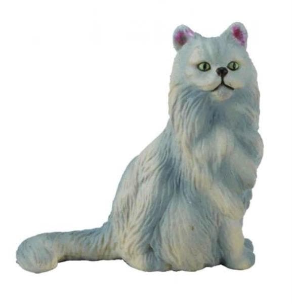 Persisk sittande katt