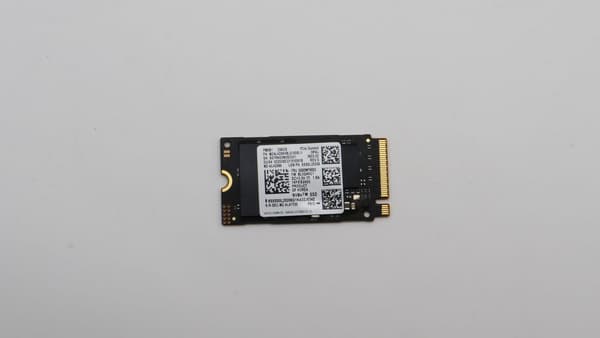 Lenovo 256 GB M.2 2242 PCIe 4.0 NVMe SSD