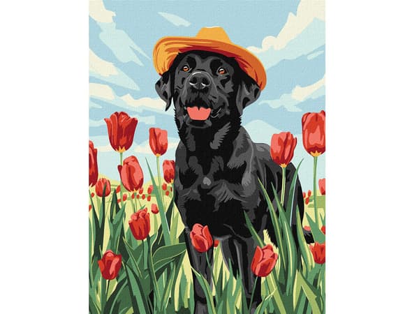 Måla efter nummer - Charmig labrador 30x40cm